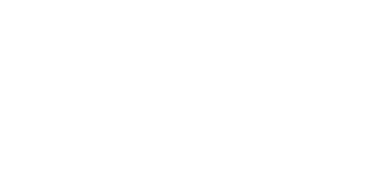 Taschenfederkern